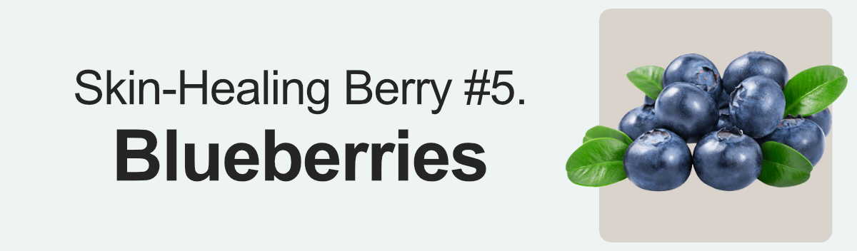 Skin-Healing #5. Blueberries