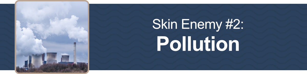 Skin Enemy #2 Pollution 🏭