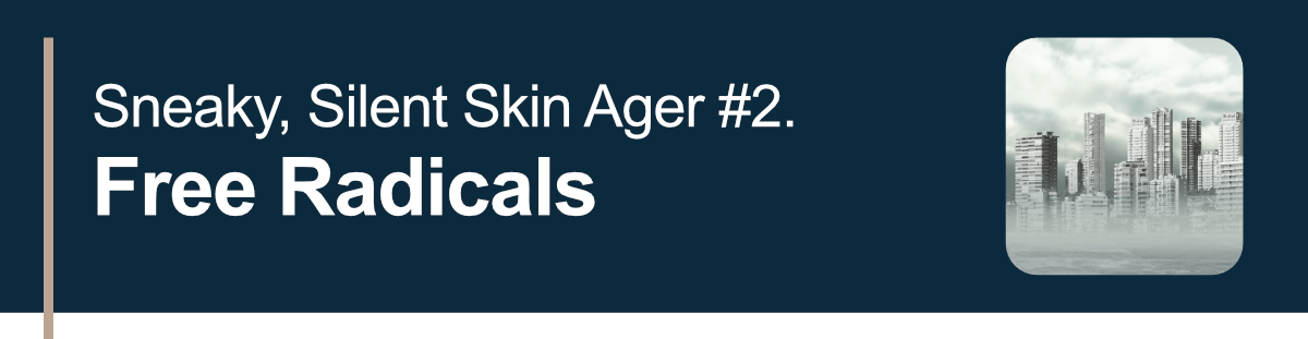 Sneaky, Silent Skin Ager #2. Free Radicals