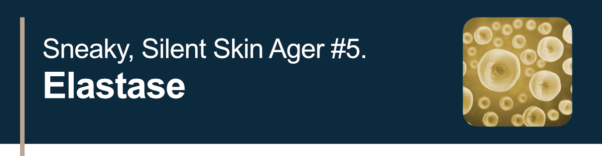 Sneaky, Silent Skin Ager #5. Elastase