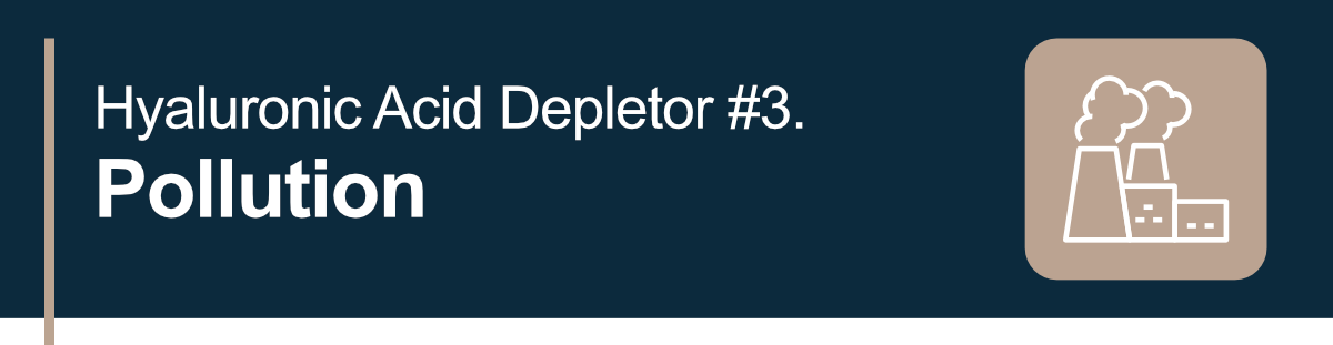 Hyaluronic Acid Depletor #3: Pollution