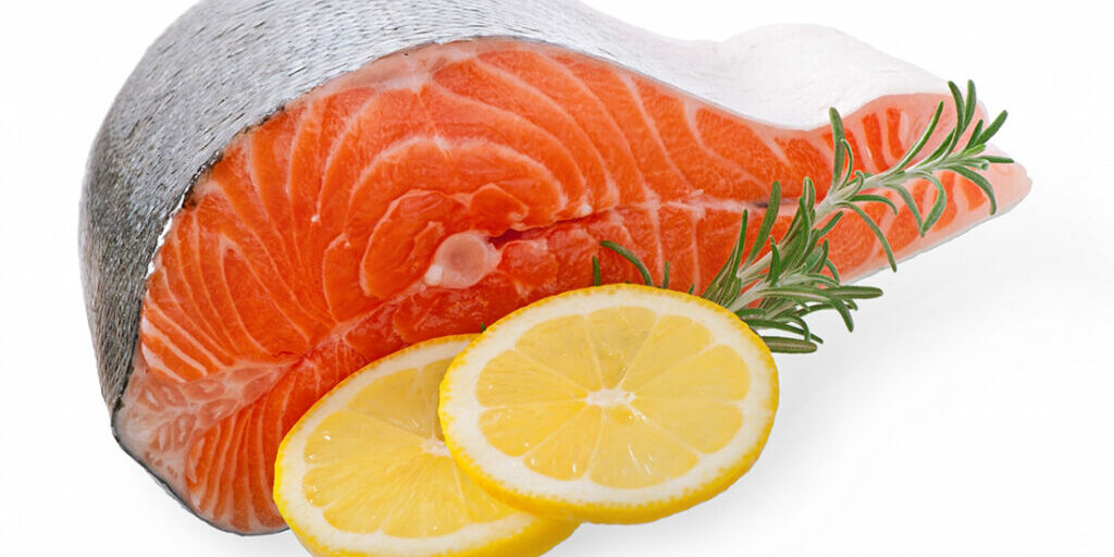 salmon fish